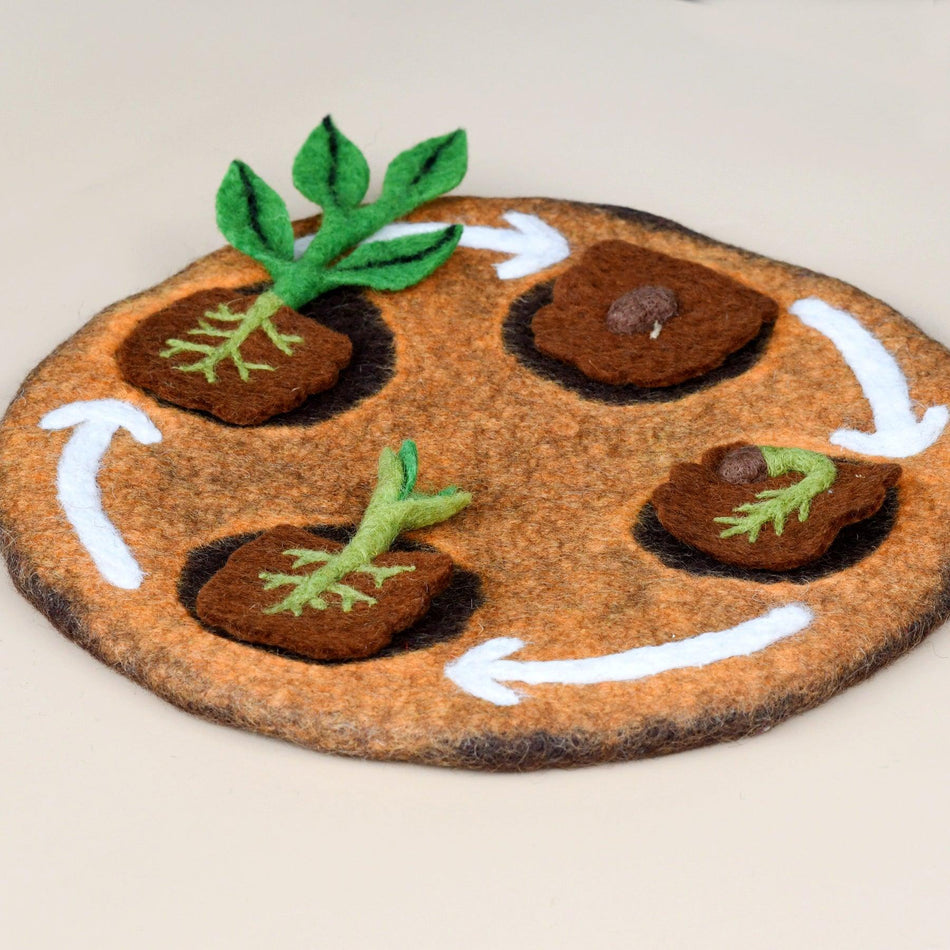 Tara Treasures Felt Lifecycle of a Bean Plant