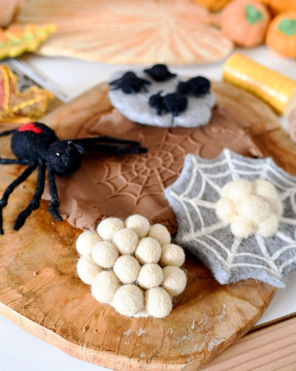 Tara Treasures Felt Lifecycle of a Redback Spider