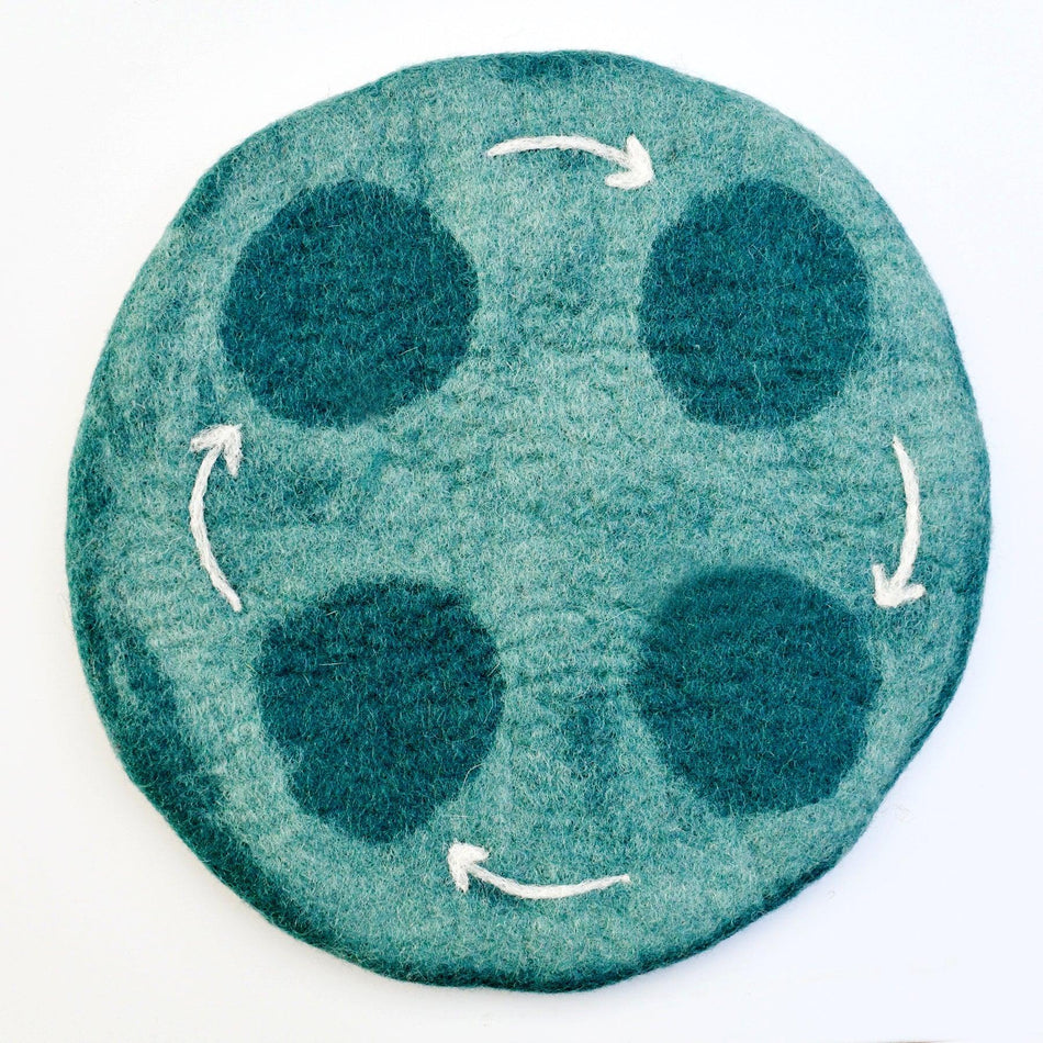Tara Treasures Felt Lifecycle Tray Playmat Water