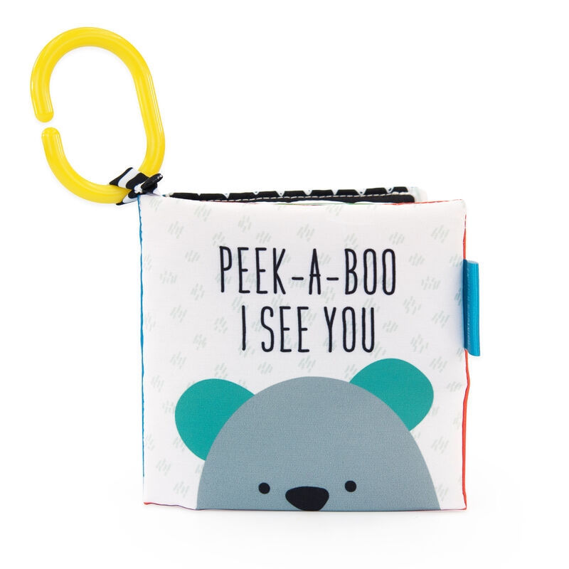 Sassy Baby Peek-a-Boo Book