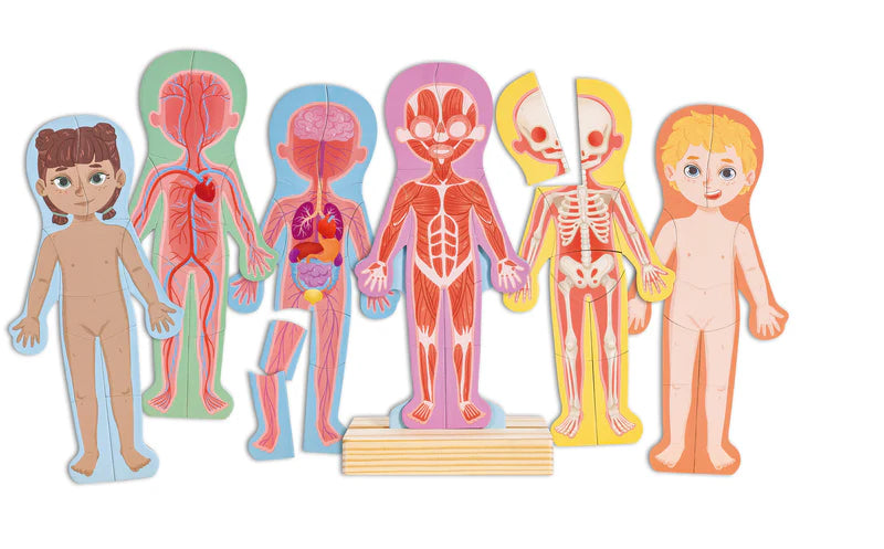Hape Human Body Magnetic Puzzle