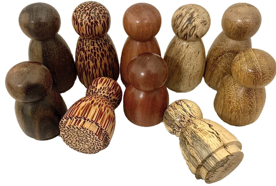 Papoose Mini Wonder Wood Forest Folk 10pc
