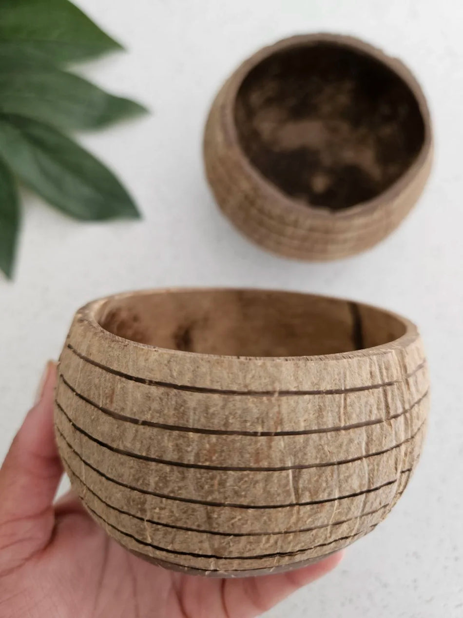 Q Toys Coconut Bowl Horizon
