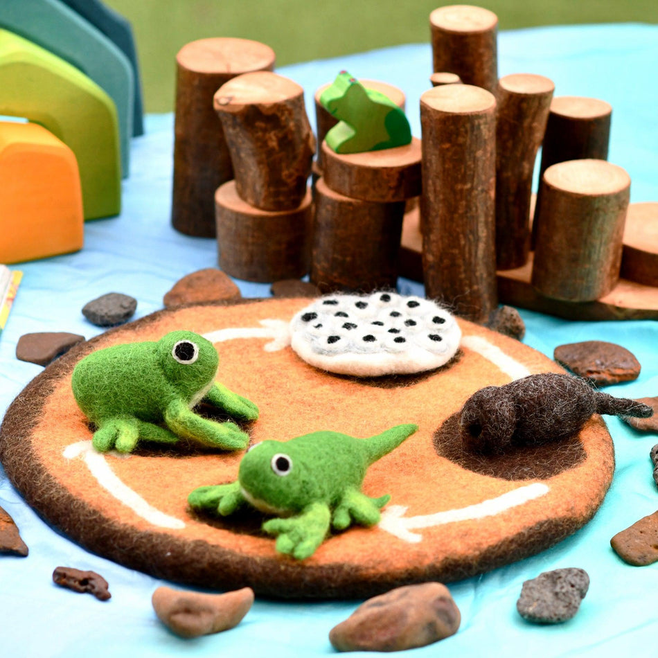 Tara Treasures Felt Lifecycle of a Frog