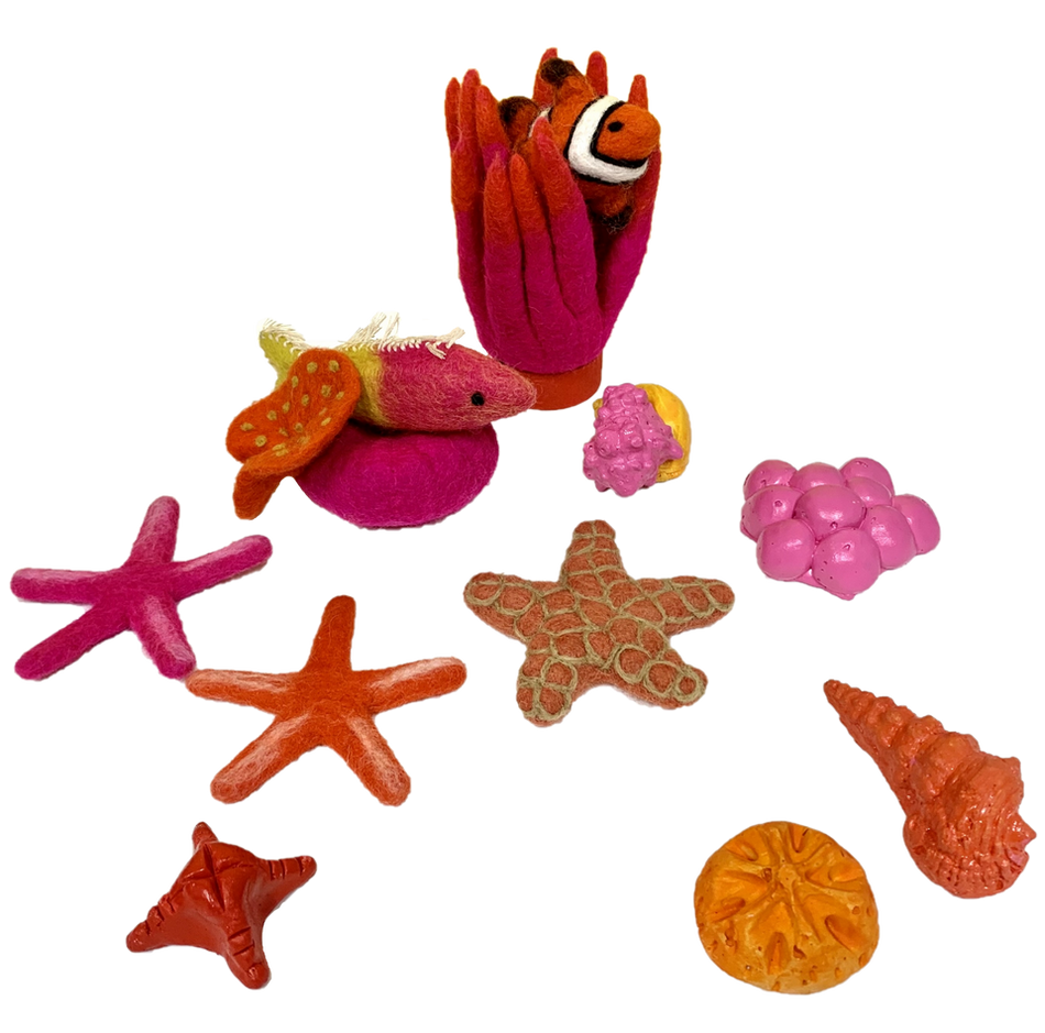 Papoose Hot Tropical Sea Story