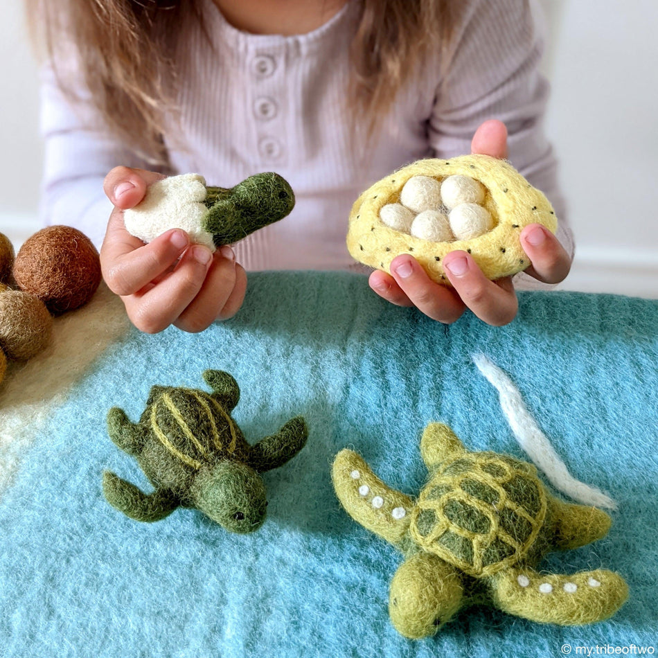 Tara Treasures Felt Lifecycle of a Green Sea Turtle