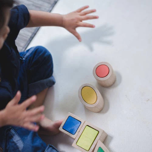 PlanToys Geo Matching Blocks