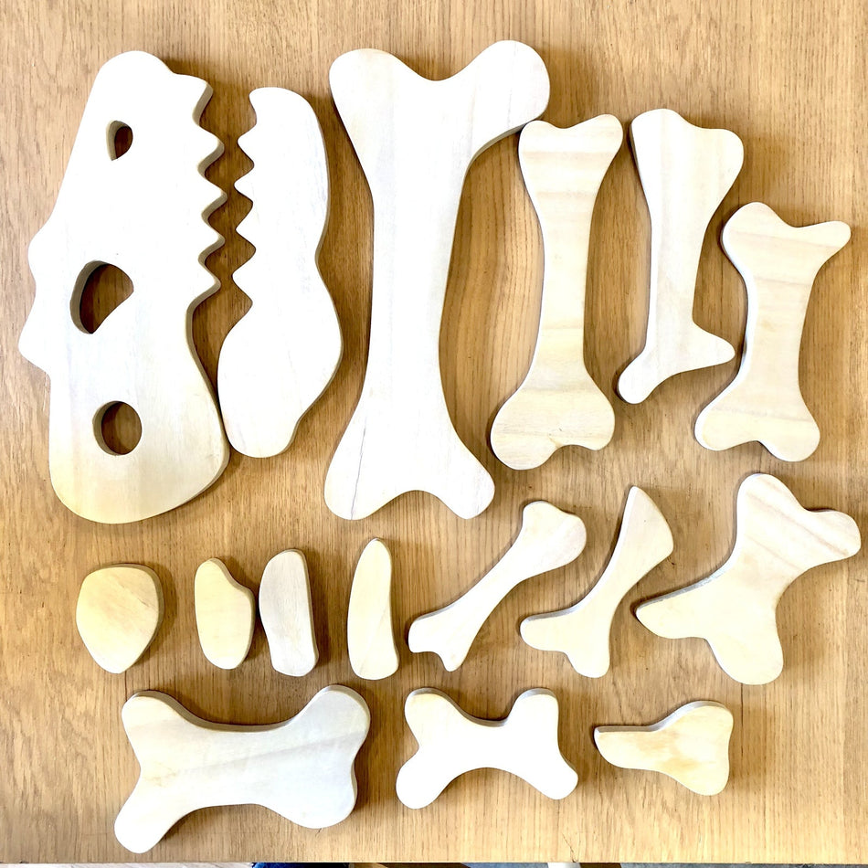 Awe & Wonder Burying Dinosaur Bones