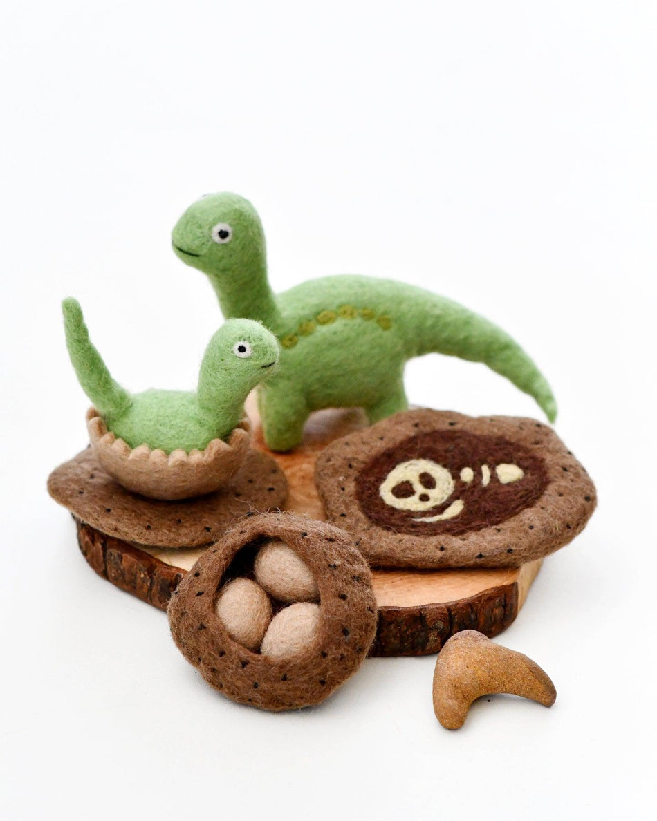 Tara Treasures Felt Lifecycle Stages of a Dinosaur