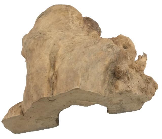 Papoose Wood Cave