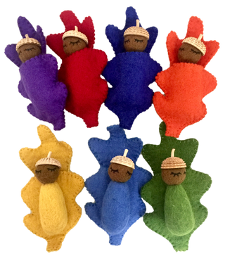 Papoose Acorn Babies Rainbow 7pc