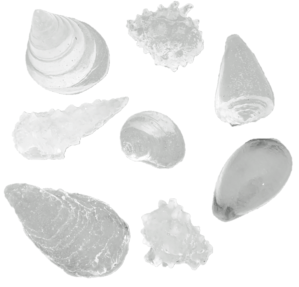 Papoose Clear Resin Sea Shapes 8pc