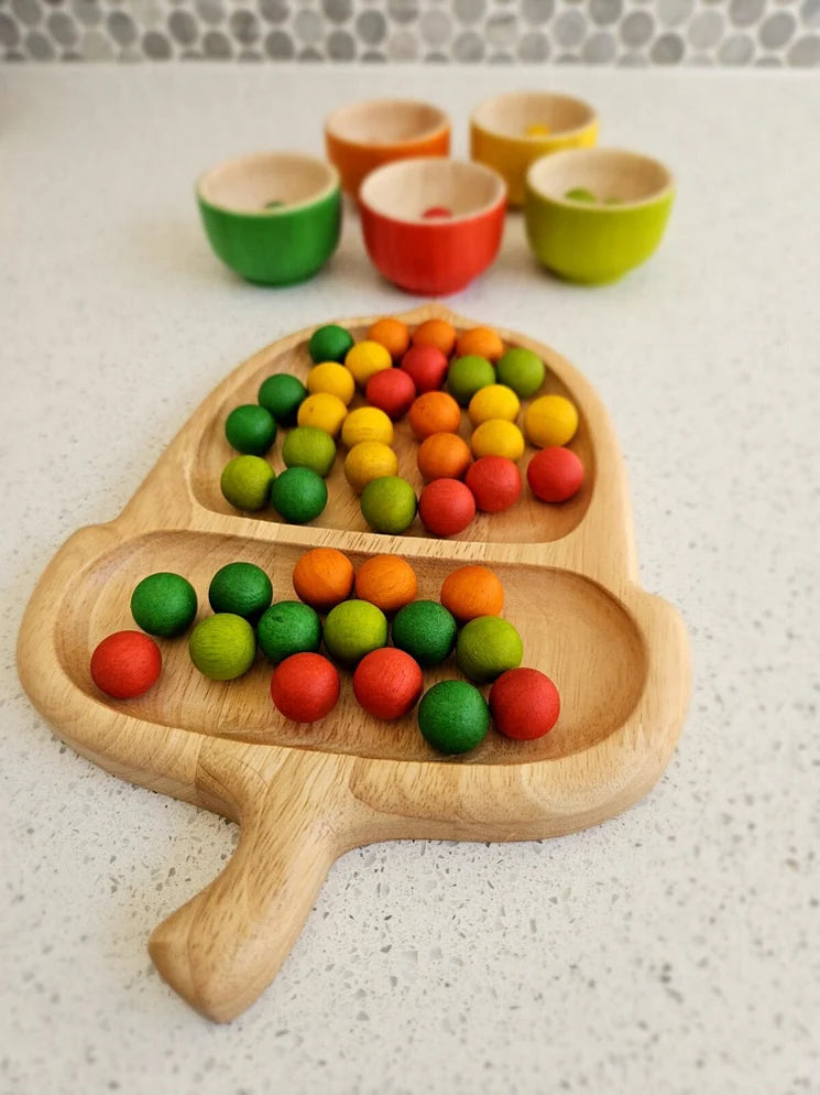 Q Toys Acorn Tray