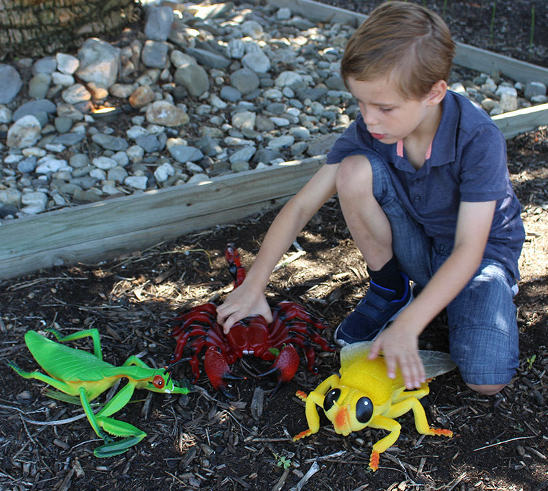 Giant Insect Set 6