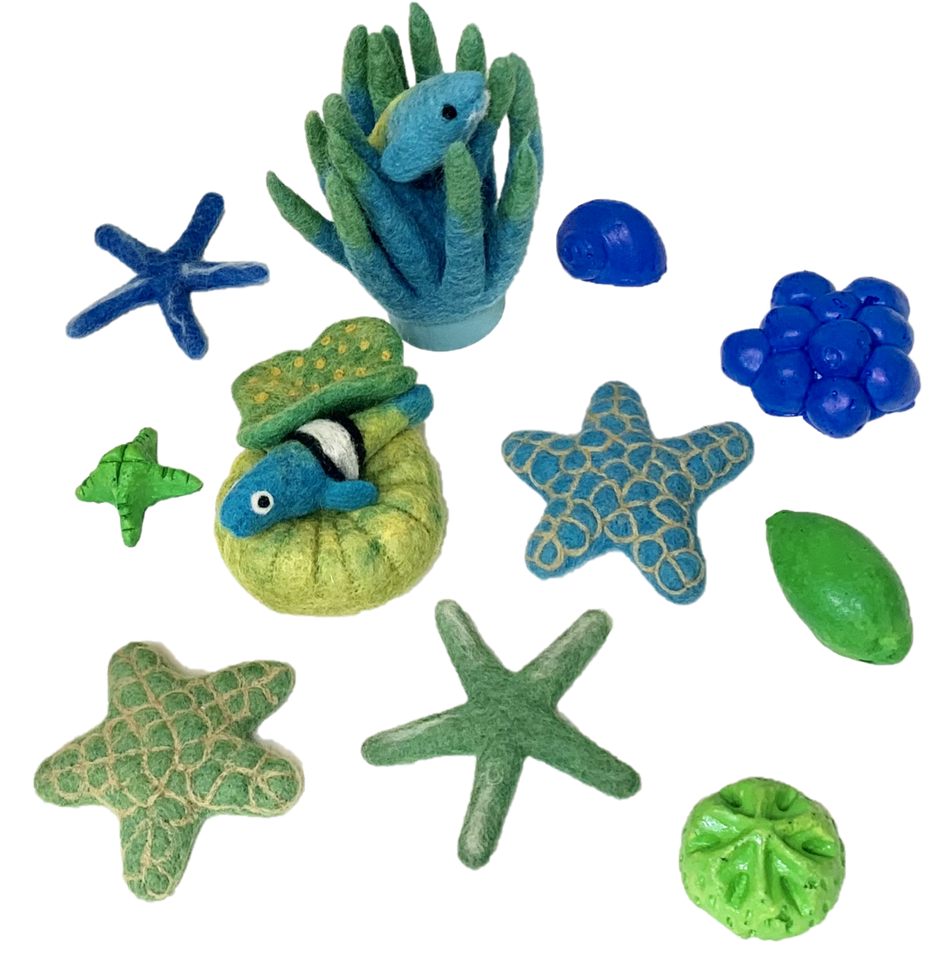 Papoose Cool Tropical Sea Story
