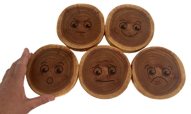 Papoose Mood Slices 5pc