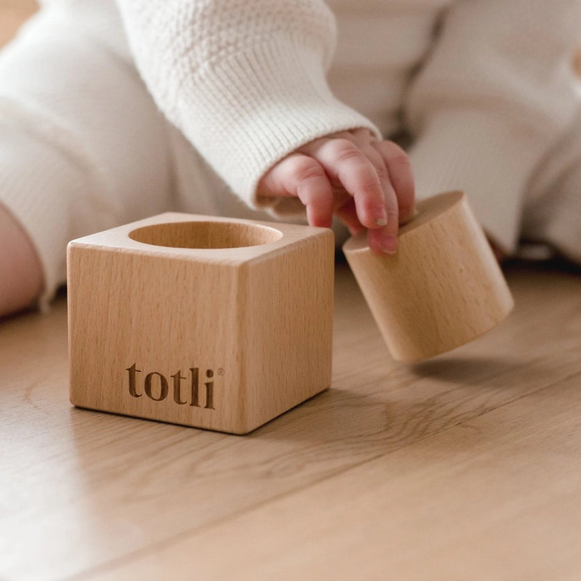 Totli Pincer Puzzle