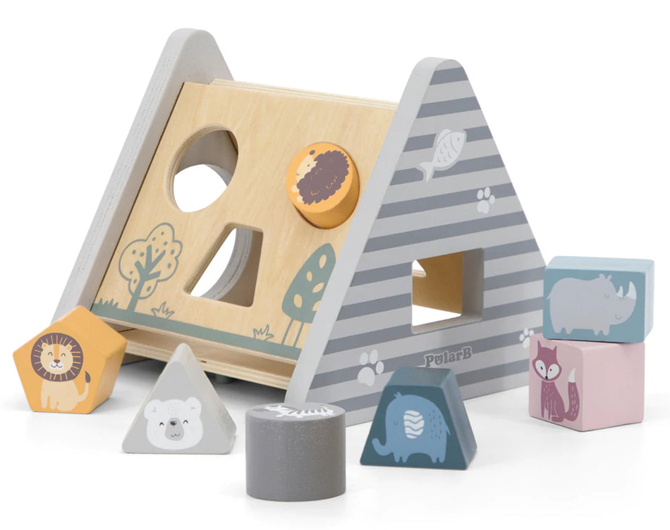 PolarB Shape Sorter & Gear Play