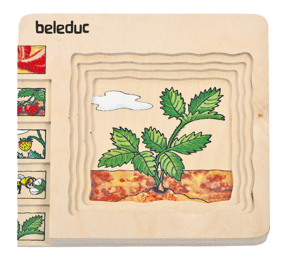 Beleduc Multilayer Puzzle Strawberry