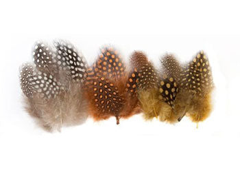 Guinea Fowl Feathers 10g Natural 100's