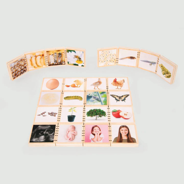 Tickit Wooden Lifecycle Tiles