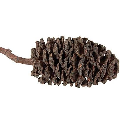 Bud Cones Pk 220g