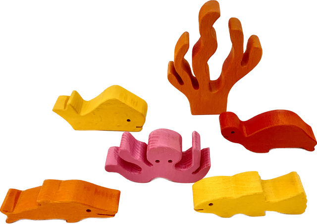 Papoose Hot Wood Sea Story 6pc