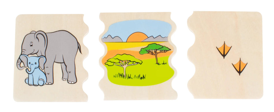 Beleduc Cognito Game Animal Habitats