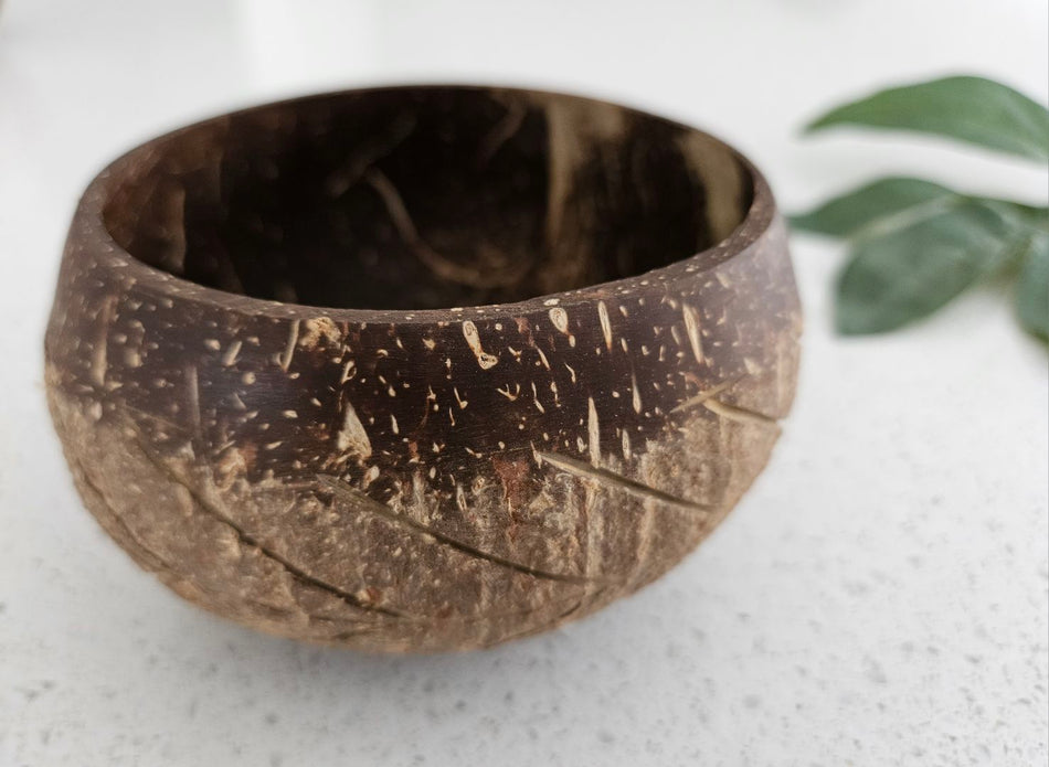 Q Toys Coconut Bowl Fish Bone