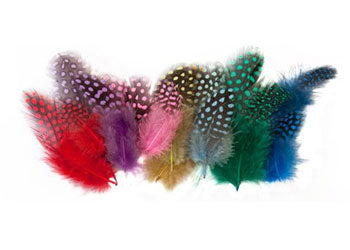 Guinea Fowl Feathers 10g Coloured 100's