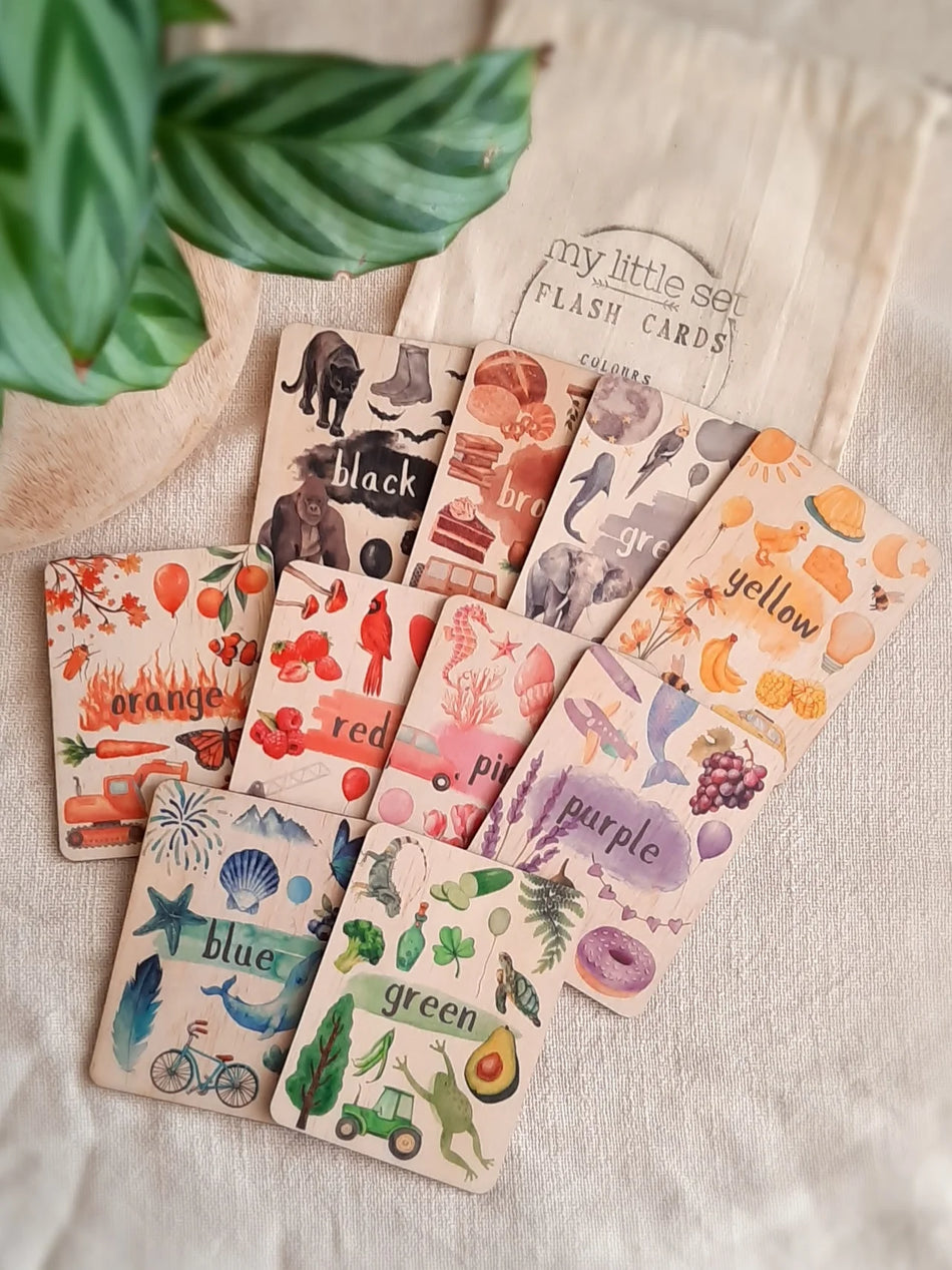 My Little Set Mini Flash Cards Colours