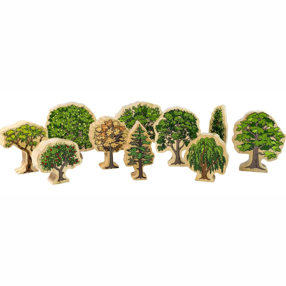 Freckled Frog Australian Trees