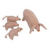 Papoose Pig Mama And 3 Babies