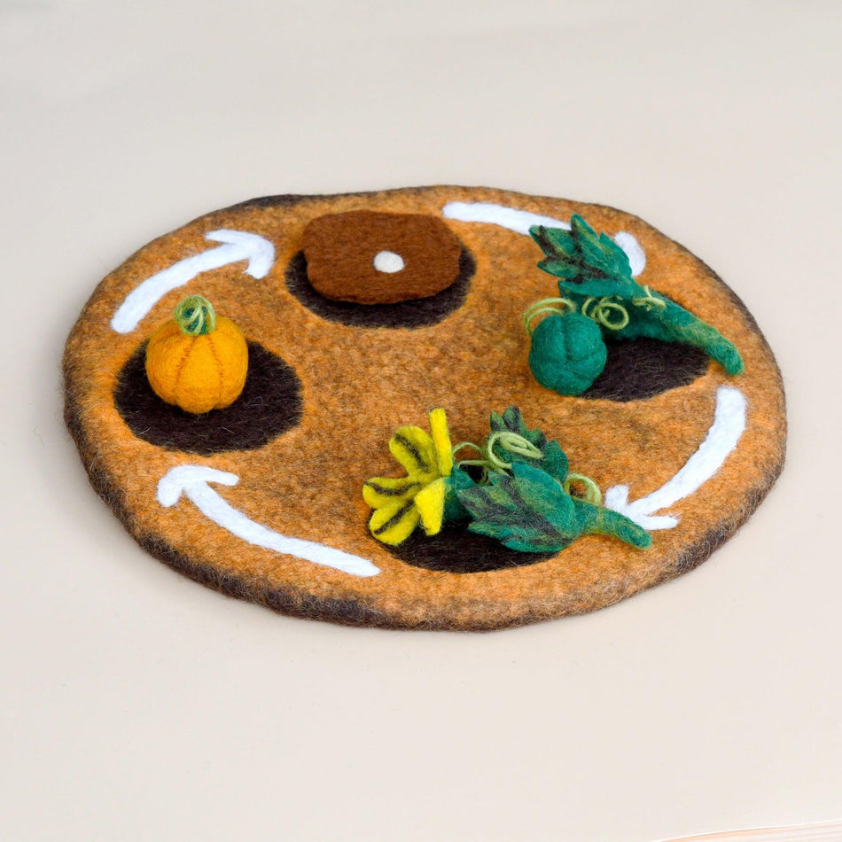 Tara Treasures Felt Lifecycle of a Pumpkin