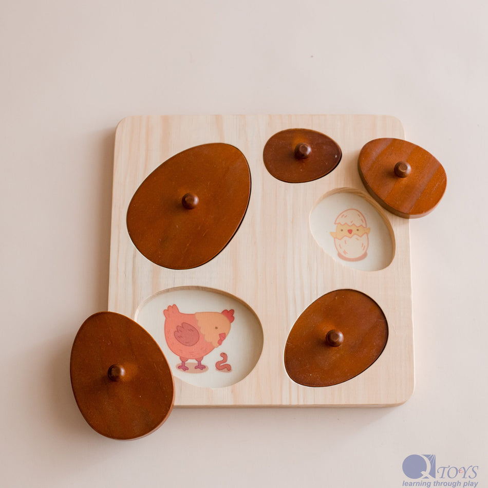 Q Toys Hen Life Circle Puzzle
