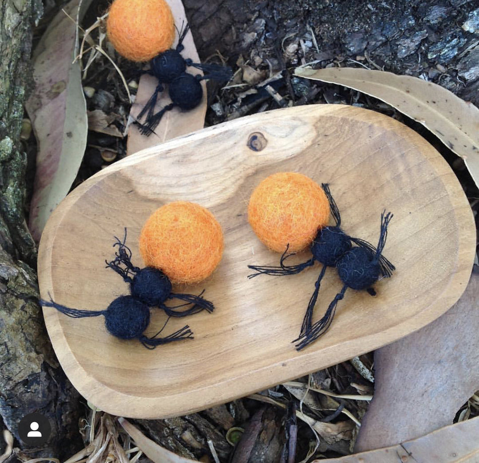Awe & Wonder Bush Tucker Honey Ants
