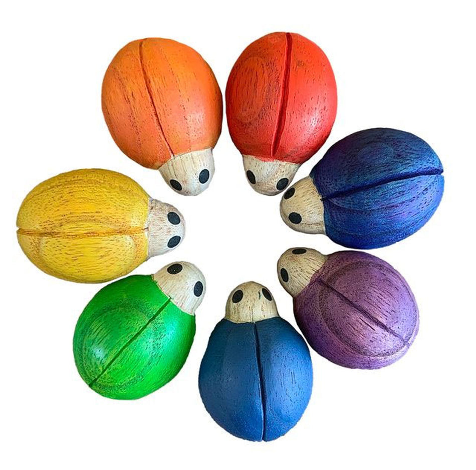Papoose Rainbow Ladybirds 7pc