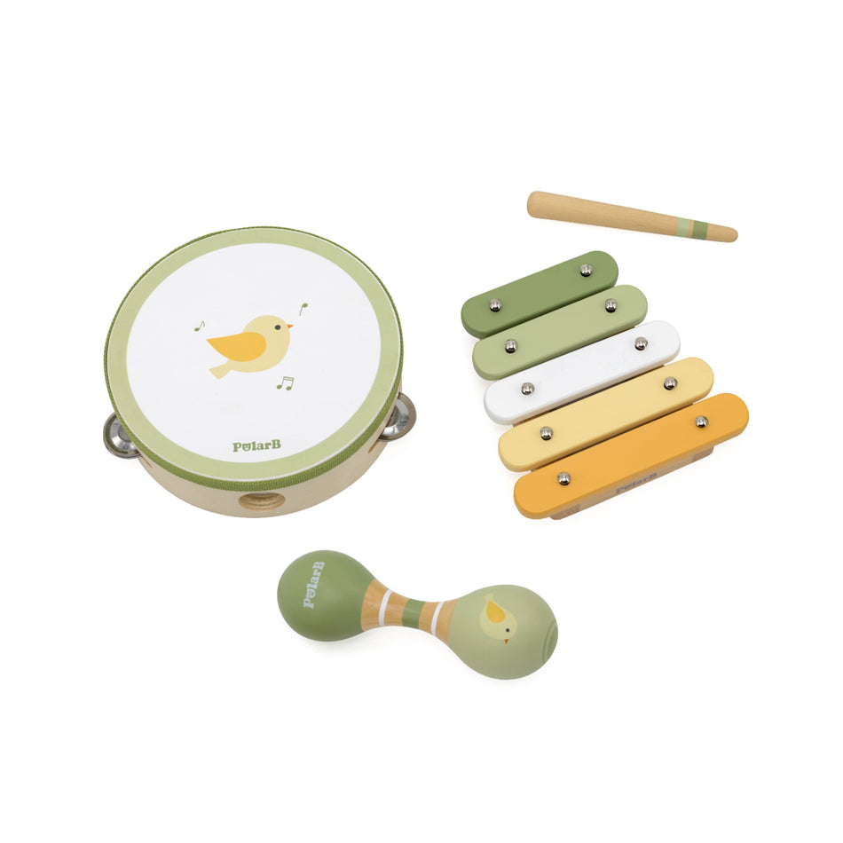 PolarB Music Set Bird