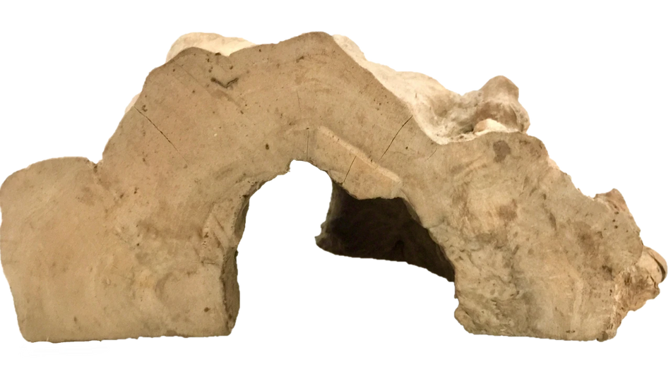 Papoose Wood Cave