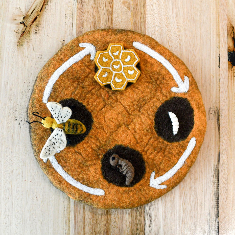 Tara Treasures Felt Lifecycle of a Honey Bee