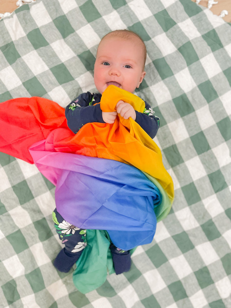 Play Silkies Rainbow