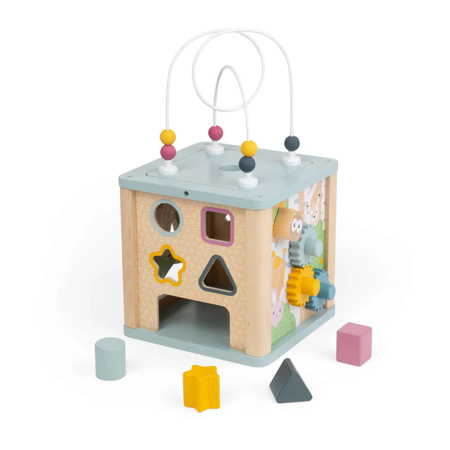 Bigjigs Toys FSC Activity Cube
