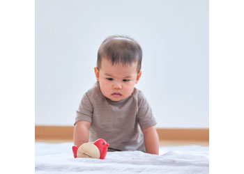 PlanToys Bird Roller