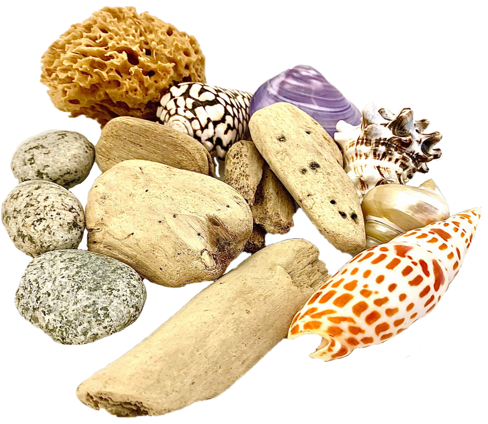 Papoose Beachcomber's Set 14pc