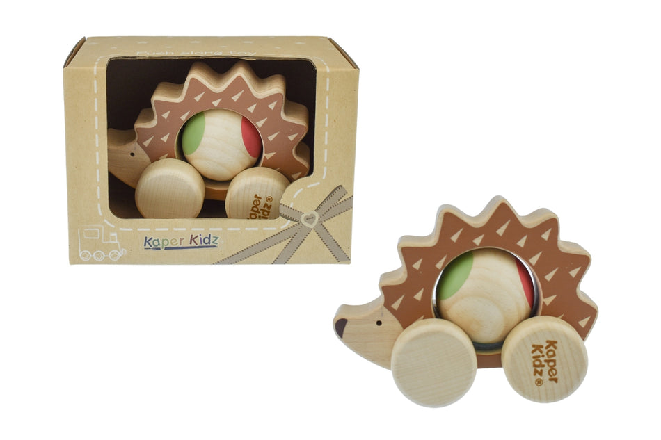Kaper Kidz Eco Play Push A Long Spinning Hedgehog
