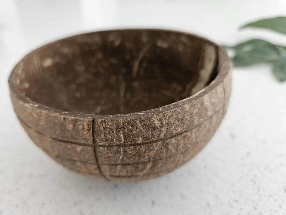 Q Toys Coconut Bowl Check