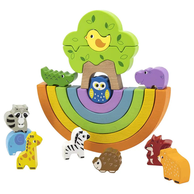 Viga Rainbow Balancing Blocks
