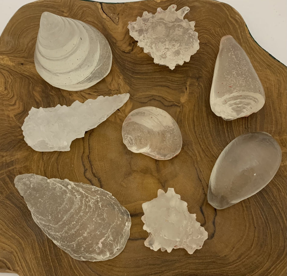 Papoose Clear Resin Sea Shapes 8pc
