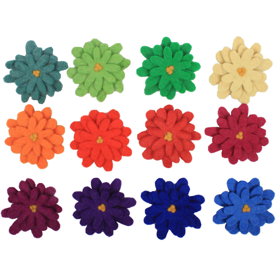 Papoose Goethe Asters 12pc