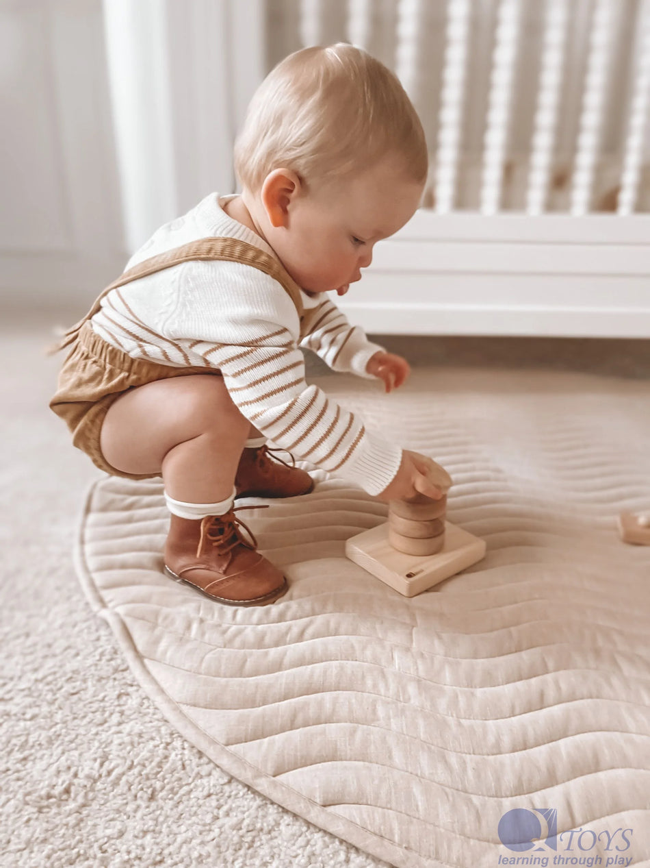 Q Toys Montessori Stacking & Sorting Rings